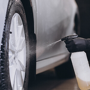 300-lavado-ecologico